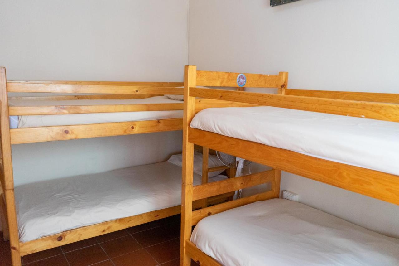 Shark Shack Backpackers Hostel Мозел Бей Екстериор снимка